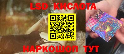 spice Кингисепп