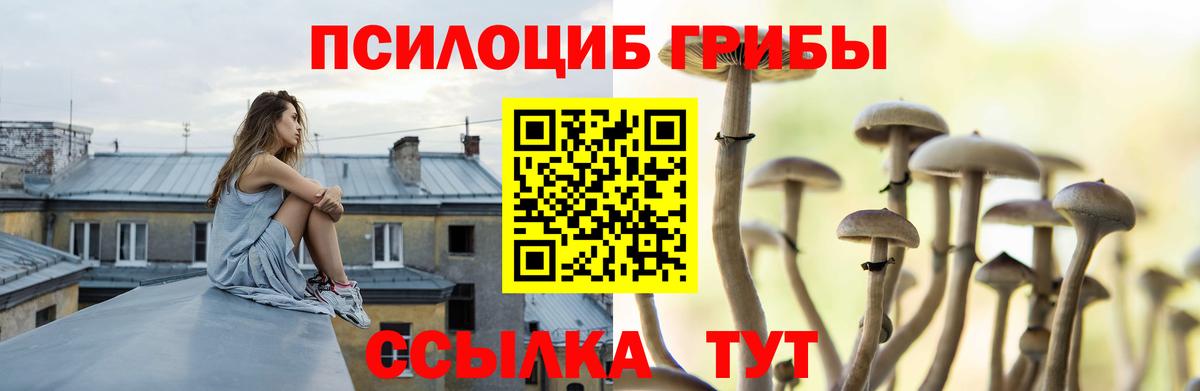 Великий Новгород  Галлюциногенные грибы Psilocybe  Вход с VPN  закладки  Галлюциногенные грибы мицелий 